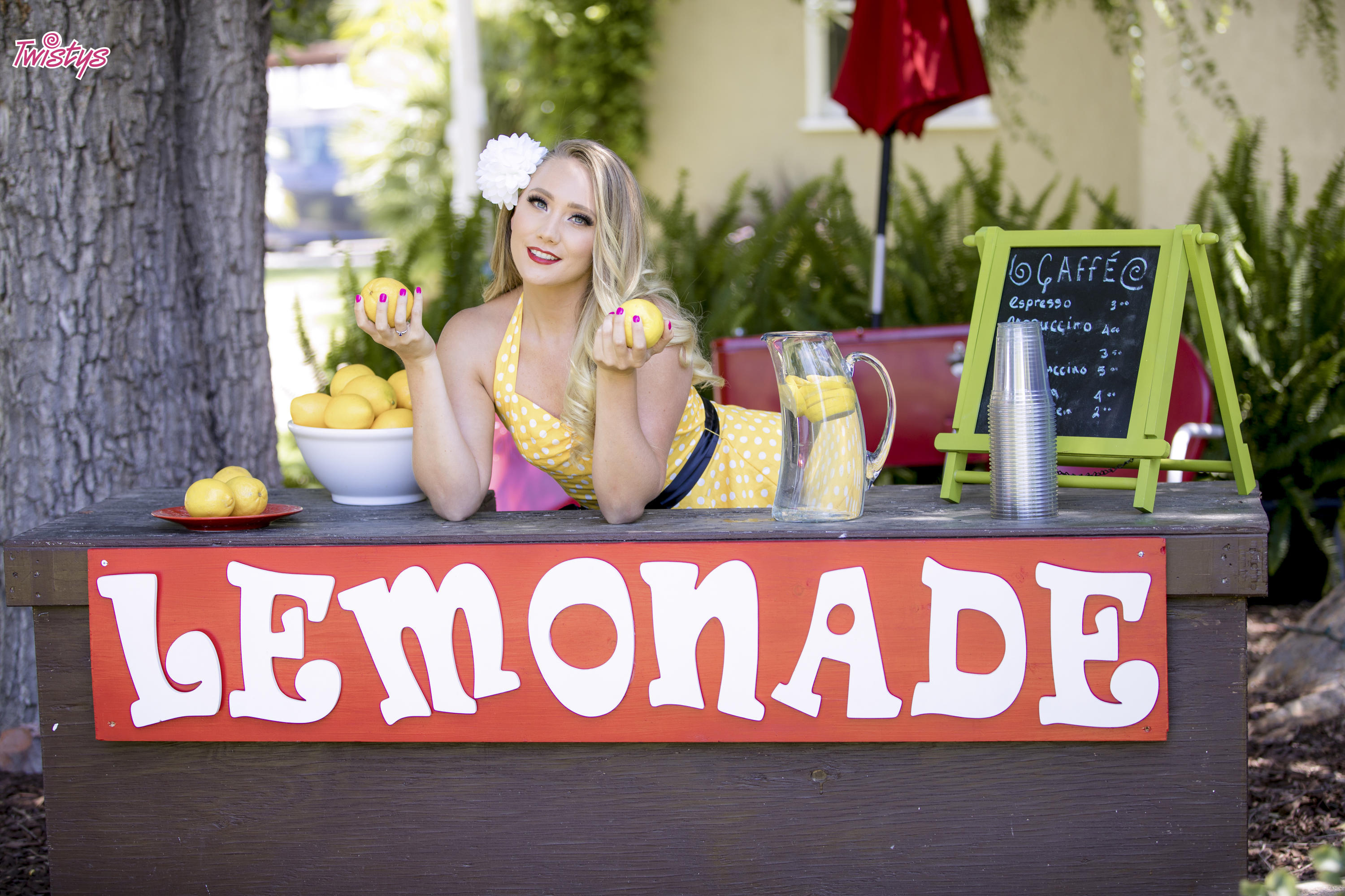 Lemon Licker