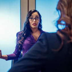 Shades of Secretary