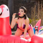 Darcie Dolce in 'Sweet Sucker'