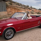 Dolly Leigh in 'A Heat Stroke of Good Luck'