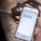 Jelena Jensen in 'A Lesson In Responsibility'