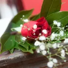 Kobe Lee in 'Licking The In-Law'