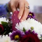 Ryan Keely in 'Mother May I'