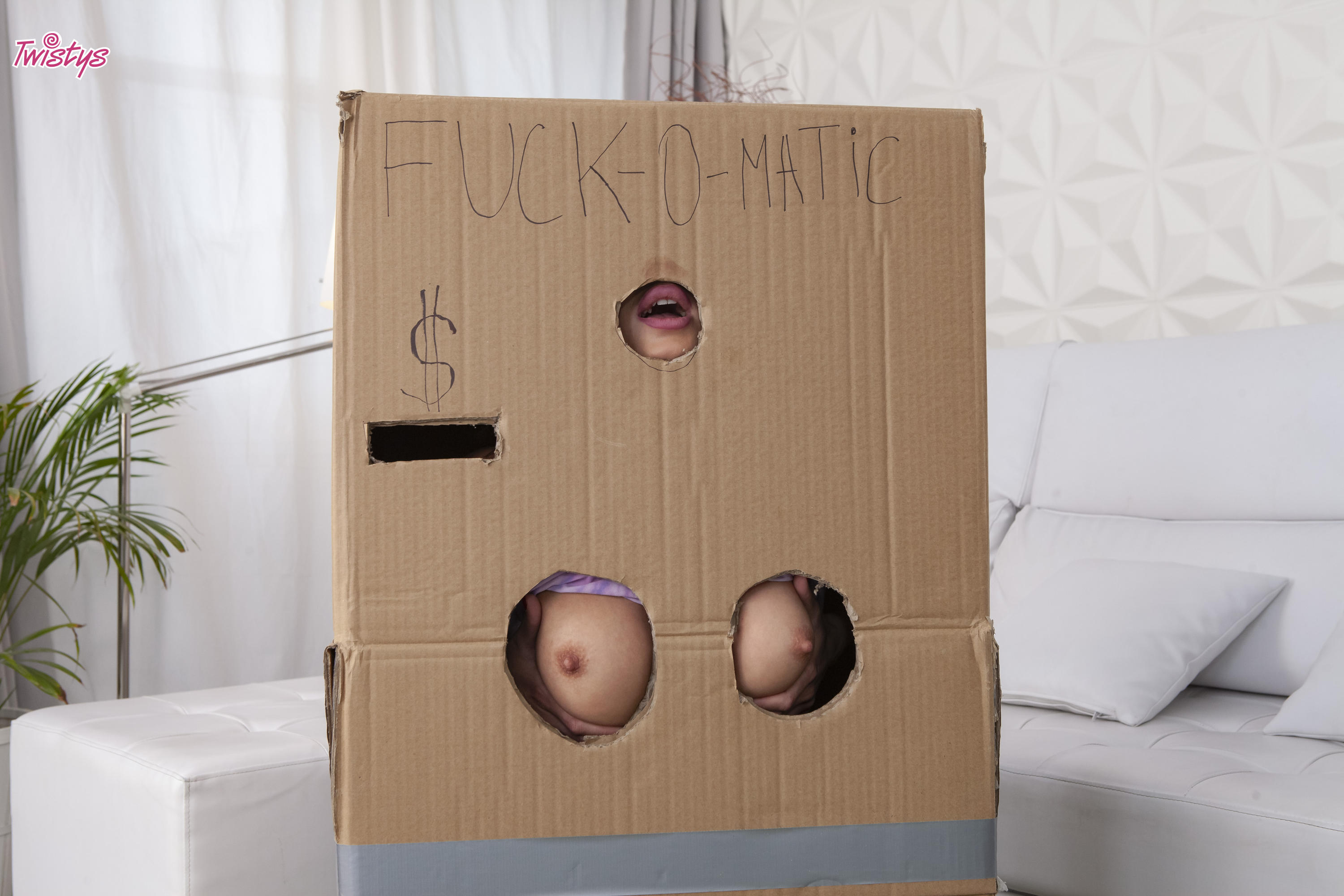 Makeshift Cardboard Gloryhole