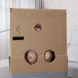 Makeshift Cardboard Gloryhole