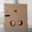 Sandra Wellness in 'Makeshift Cardboard Gloryhole'